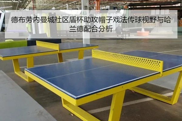 de-bu-lao-nei-man-cheng-she-qu-dun-bei-zhu-gong-mao-zi-xi-fa-chuan-qiu-shi-ye-yu-ha-lan-de-pei-he-fen-xi-3-443.jpg